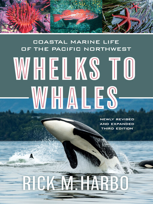 Title details for Whelks to Whales by Rick M. Harbo - Available